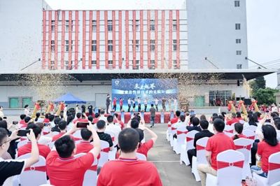 电子专用材料研发新突破 推动产业升级与变革